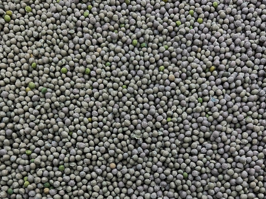 Re-Pelletizing PE Foam